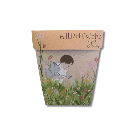 Sow n Sow - Wildflowers a gift of seeds