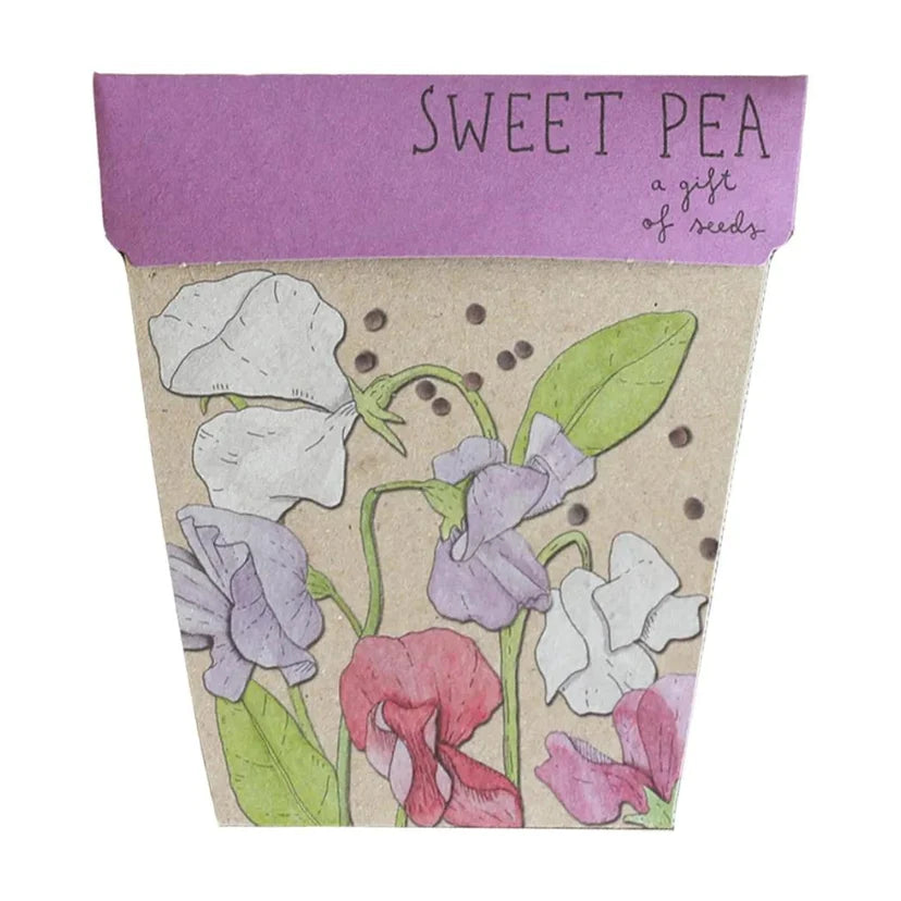 Sow n Sow - Sweet Pea gift of seeds