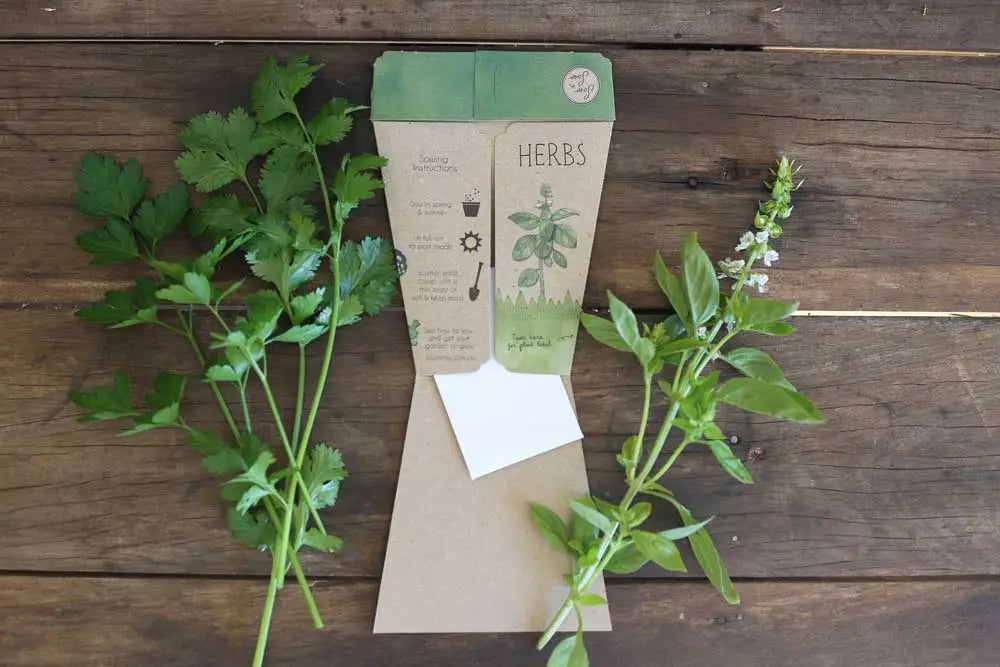 Sow n Sow - Trio of Herbs a gift of seeds