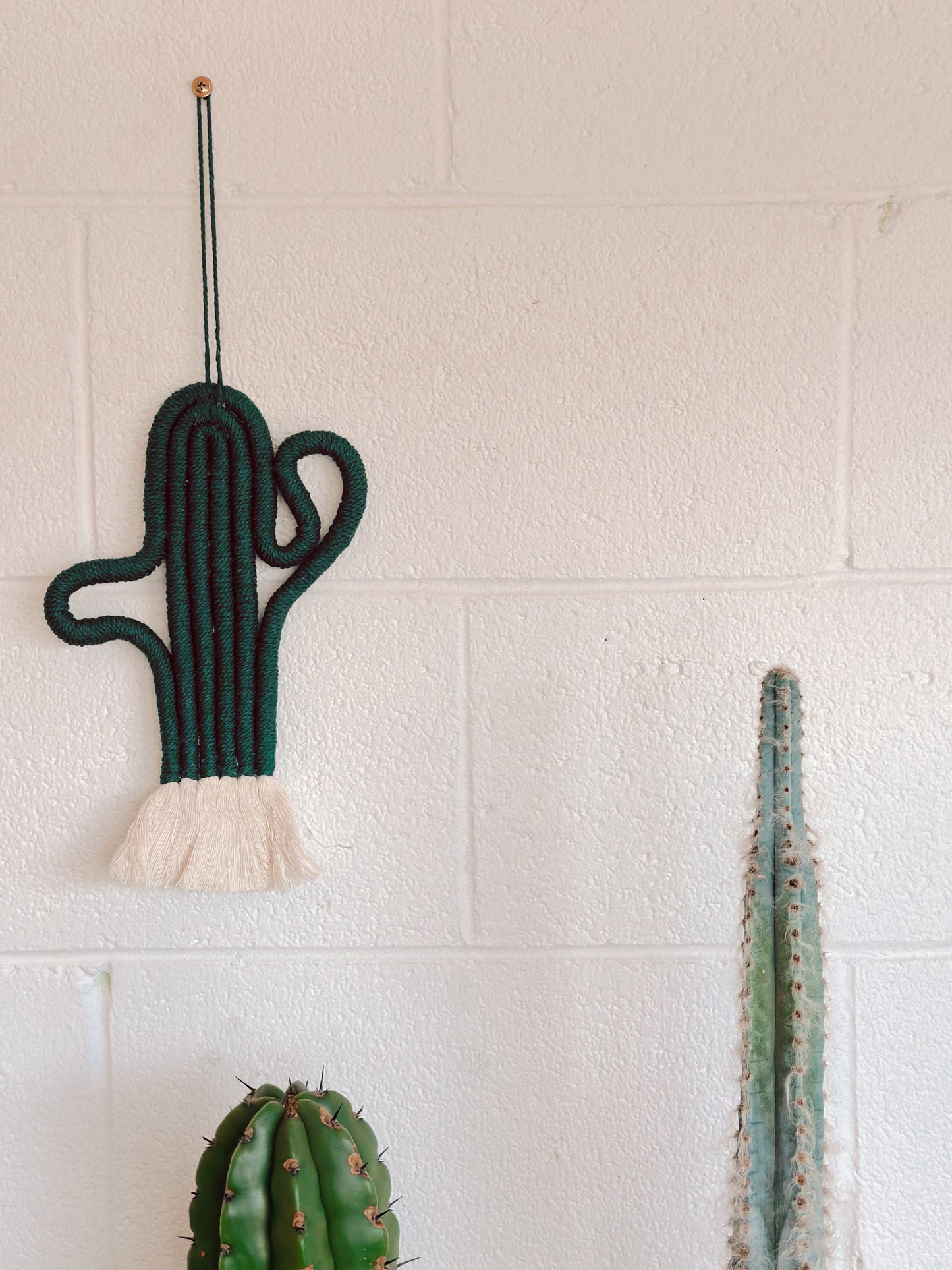 Macrame cactus wall hanging - Large dark green