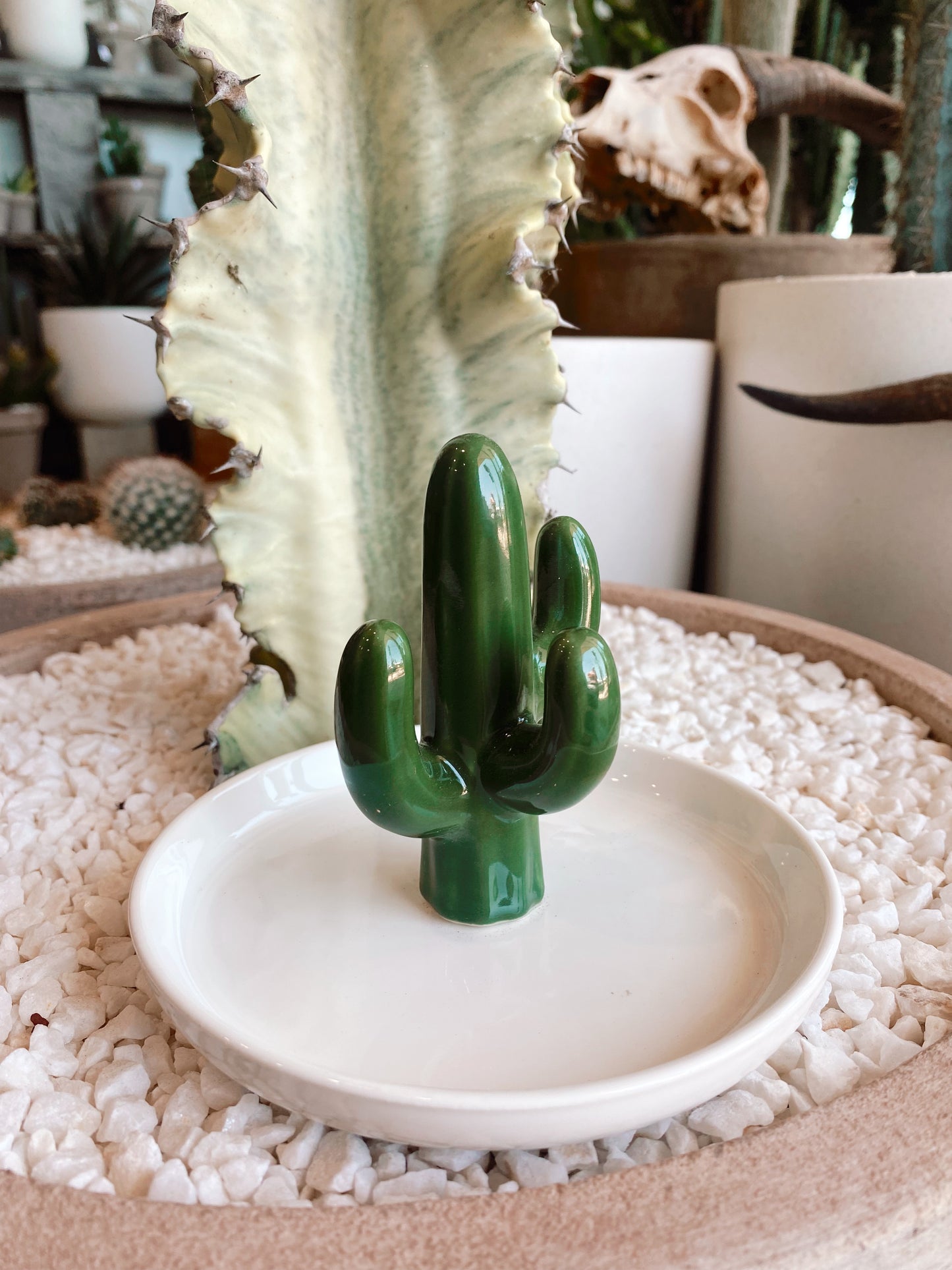 Cactus Trinket tray - assorted