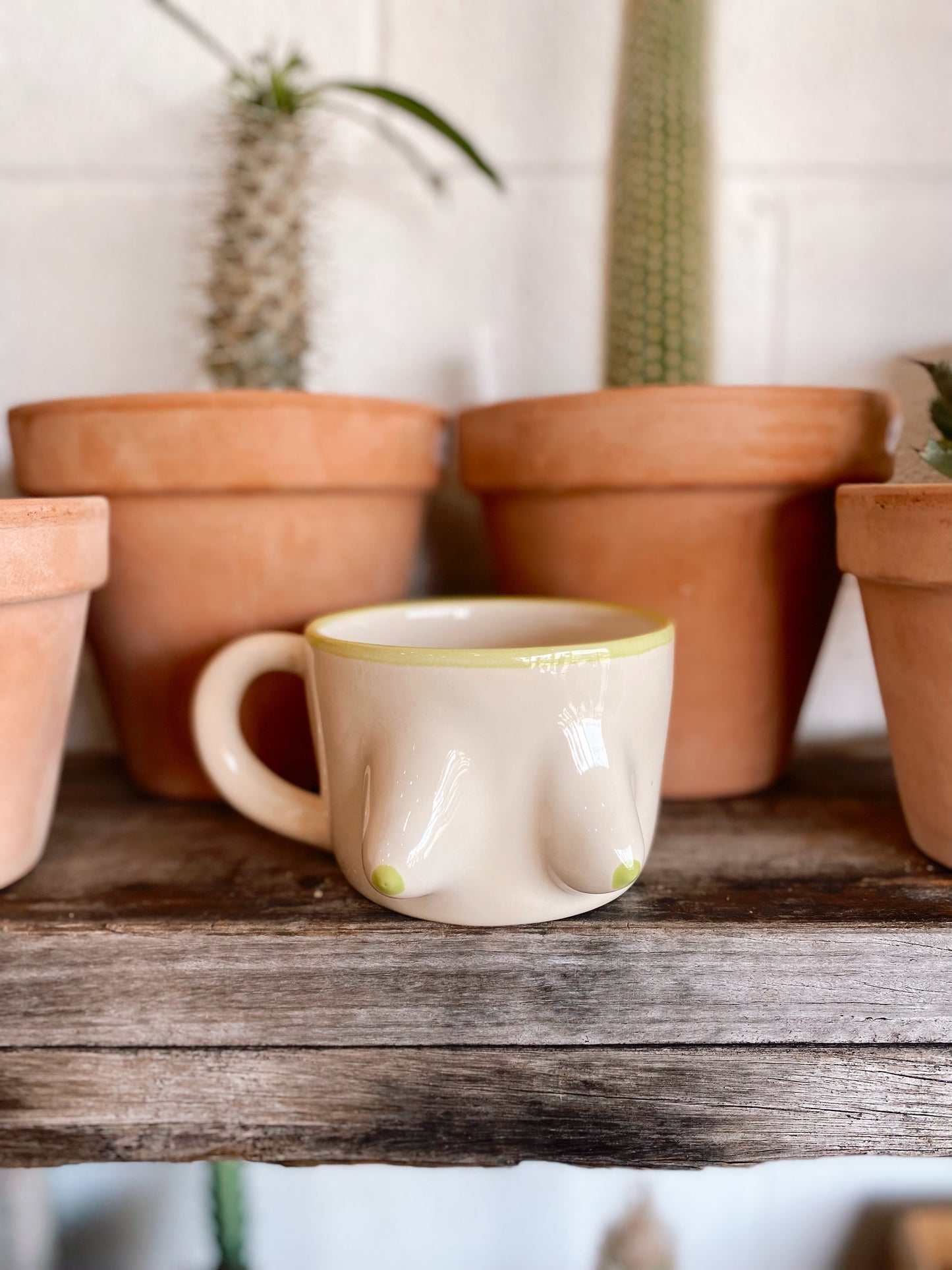 Pink Soy Ceramics - Booby mugs