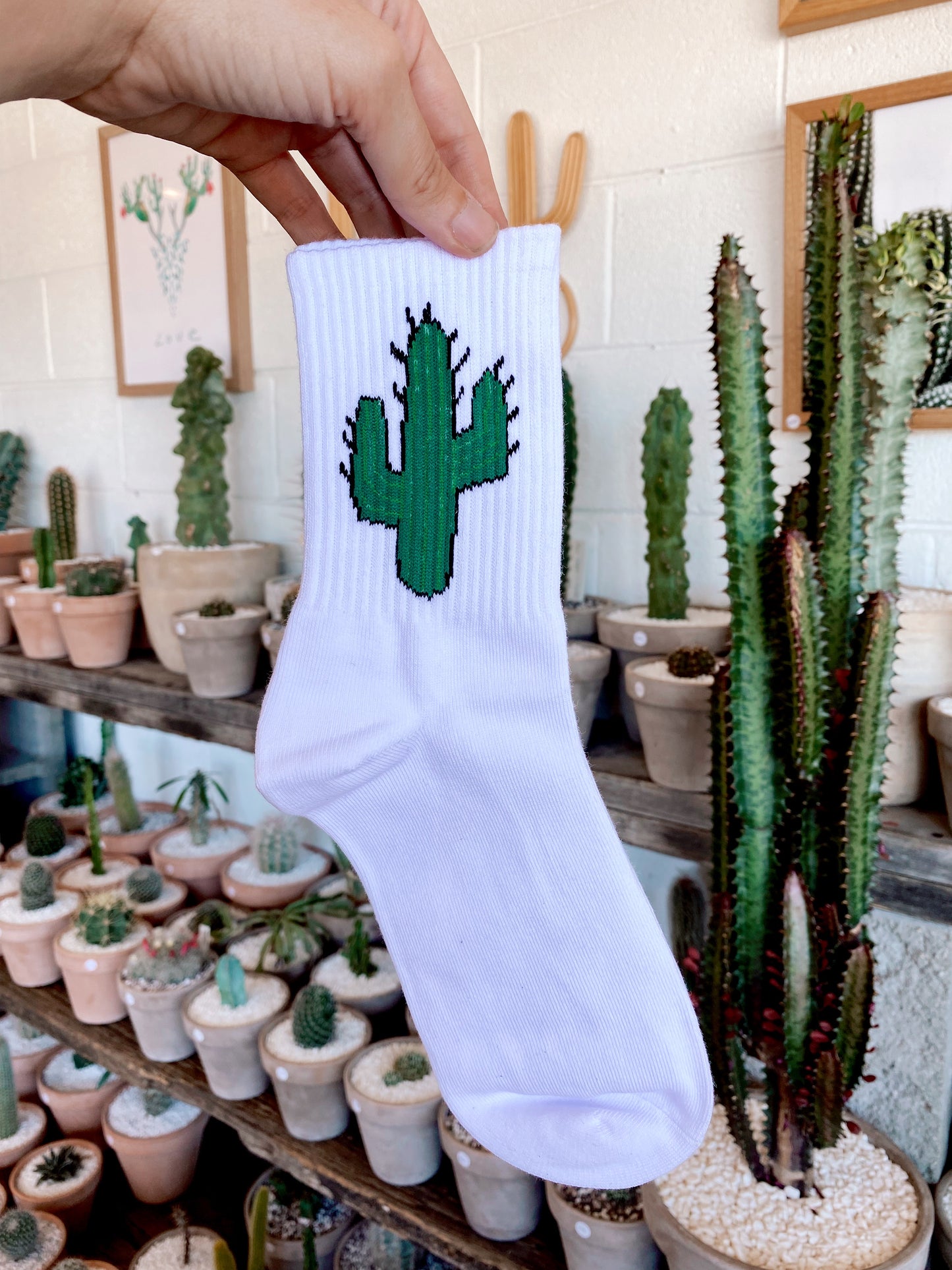 Cactus Socks - Green & White