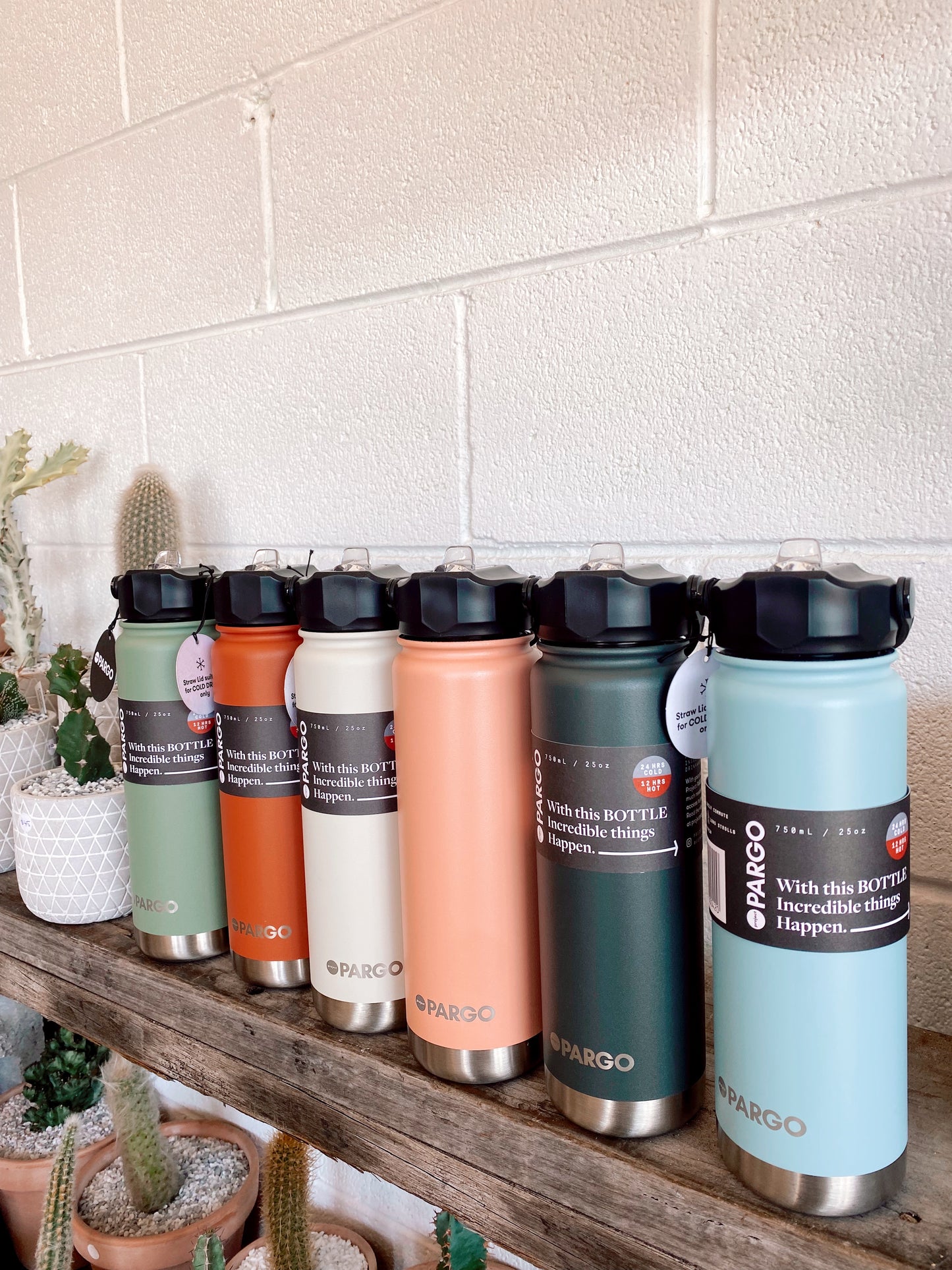 PARGO 750ml Insulated Water Bottle with Straw lid - Assorted Colours