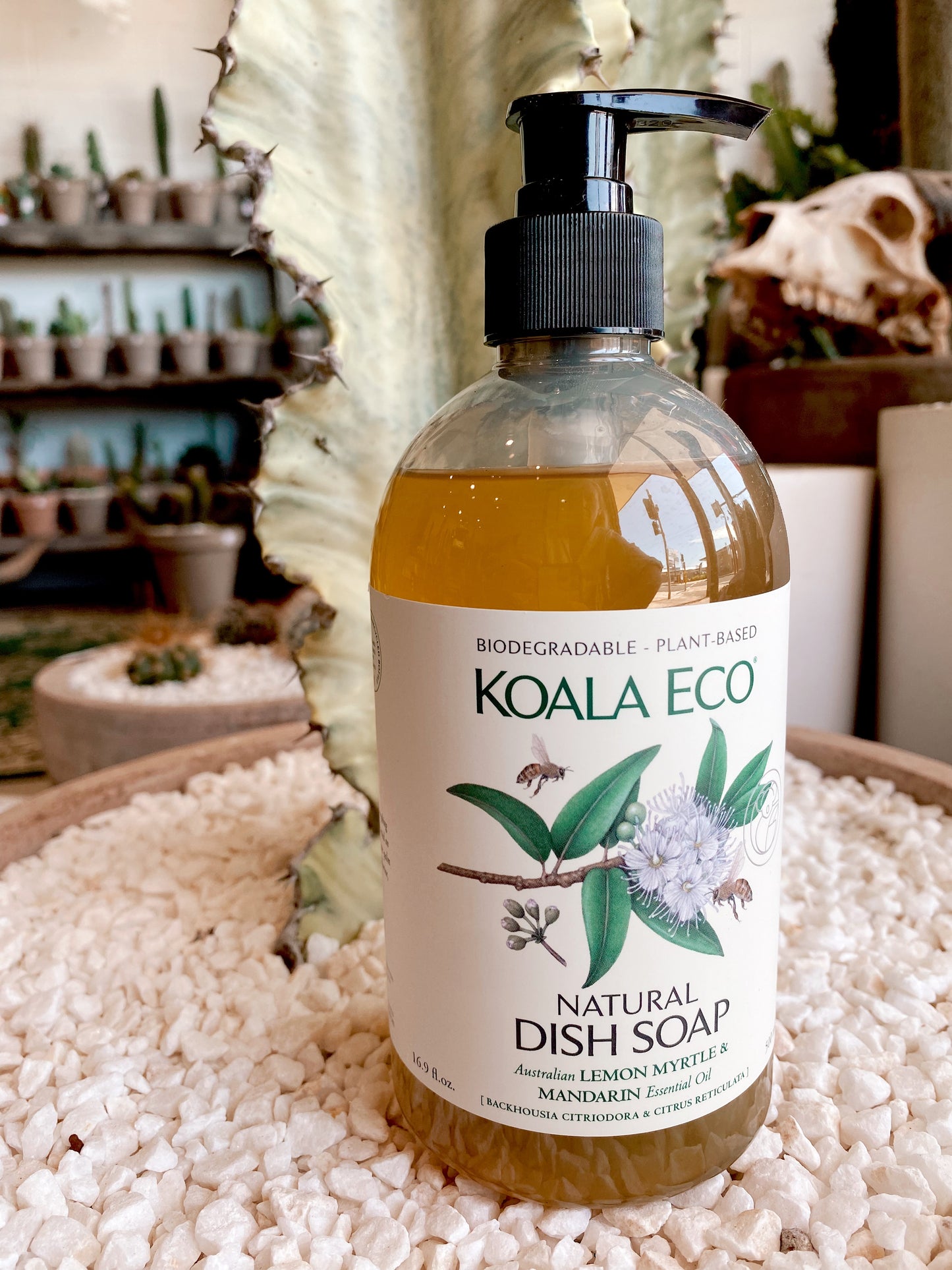 Koala Eco: Natural Dish Soap