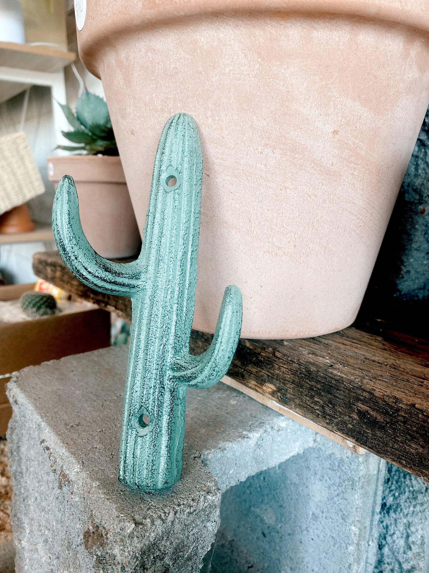 Cactus Metal Hook - assorted