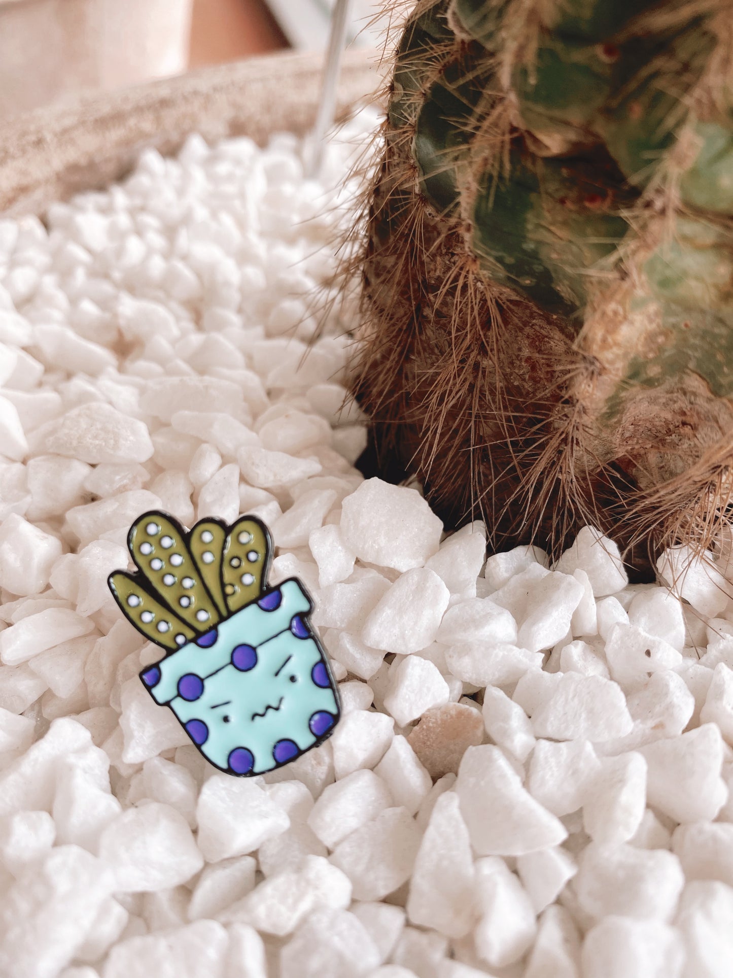 Cacti Pins