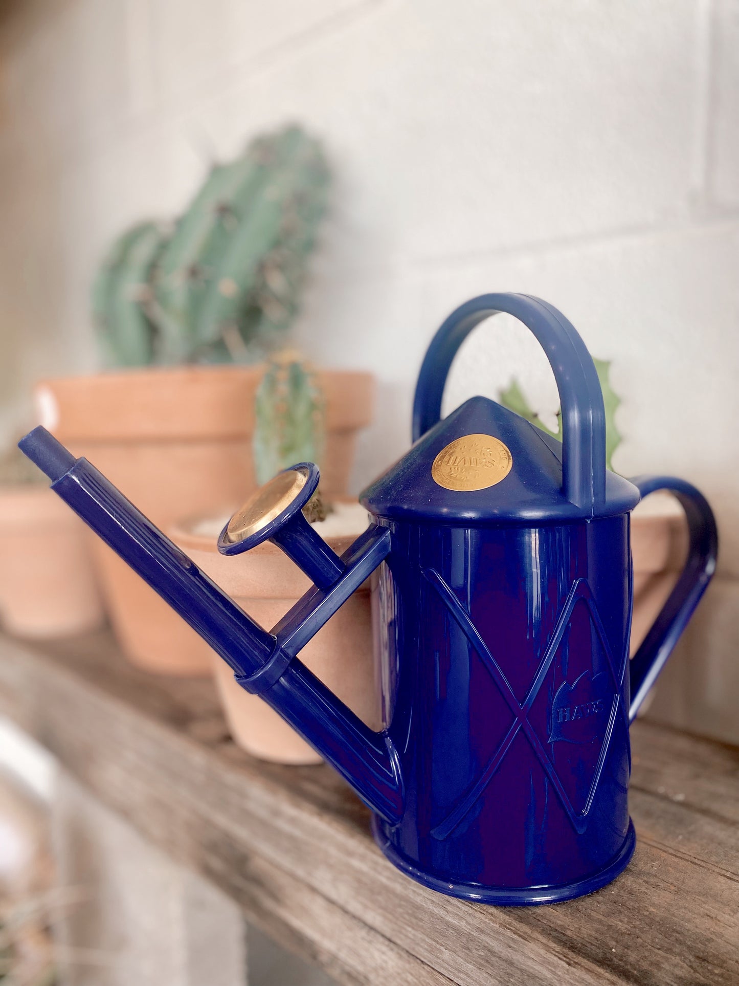 Haws Watering Cans - Bartley Burbler Two Pint Watering Cans