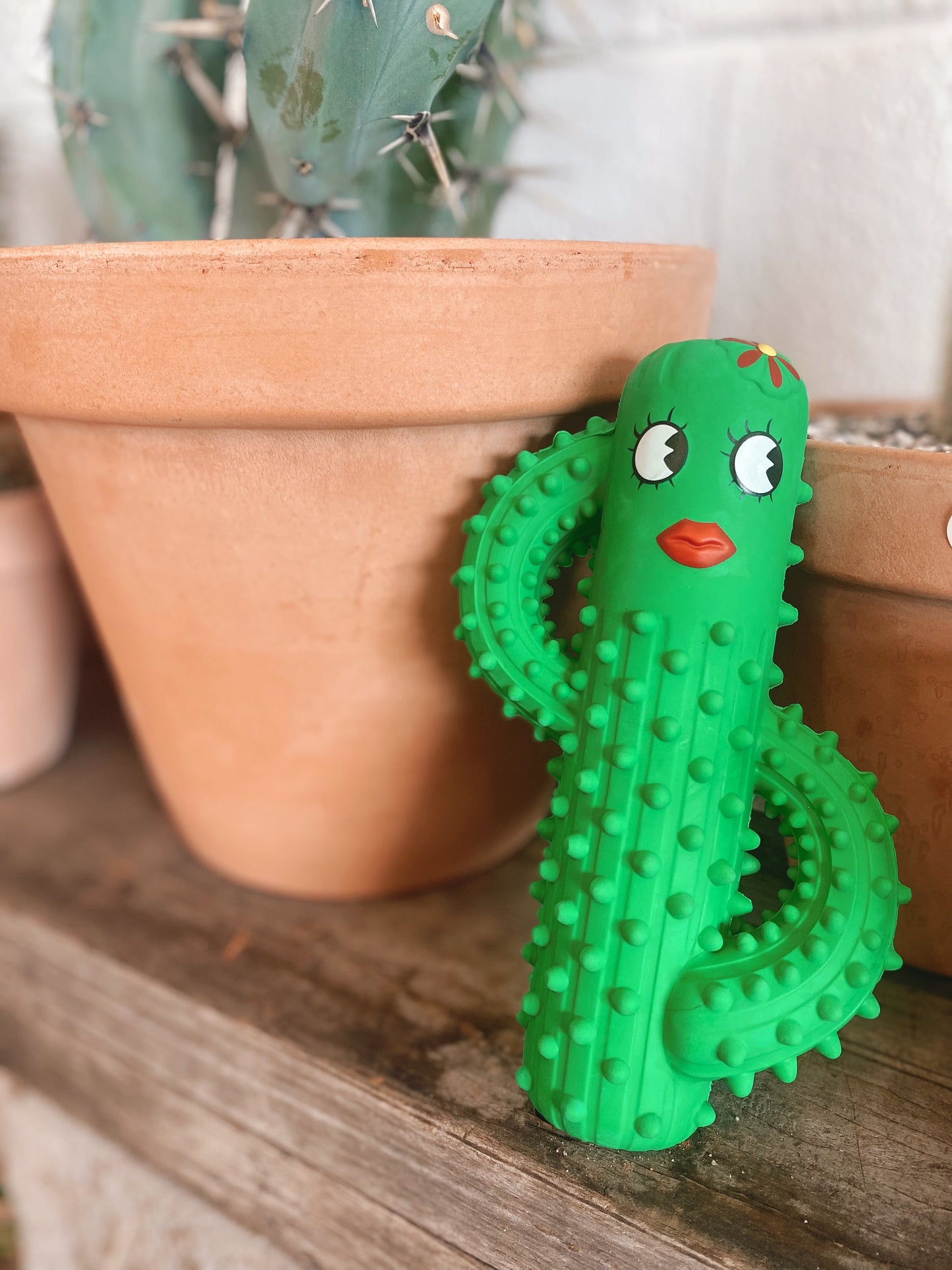 Sassy Cactus - Squeaky Dog Toy